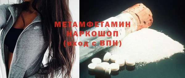 прущие грибы Алагир