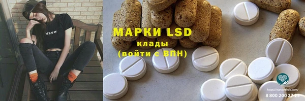 прущие грибы Алагир