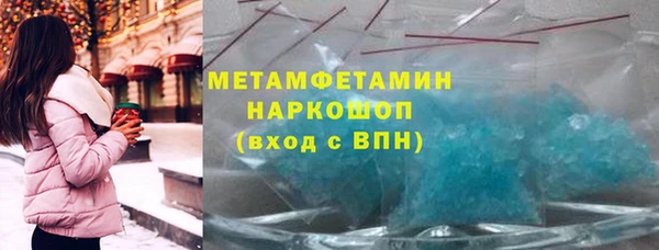 прущие грибы Алагир