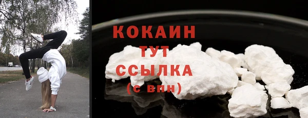 прущие грибы Алагир