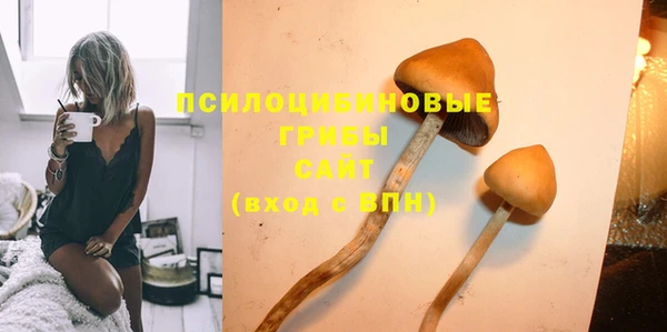 прущие грибы Алагир