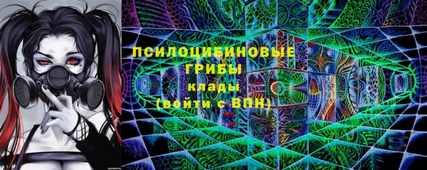прущие грибы Алагир
