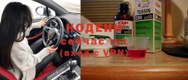 прущие грибы Алагир