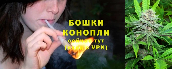 твердый Алапаевск