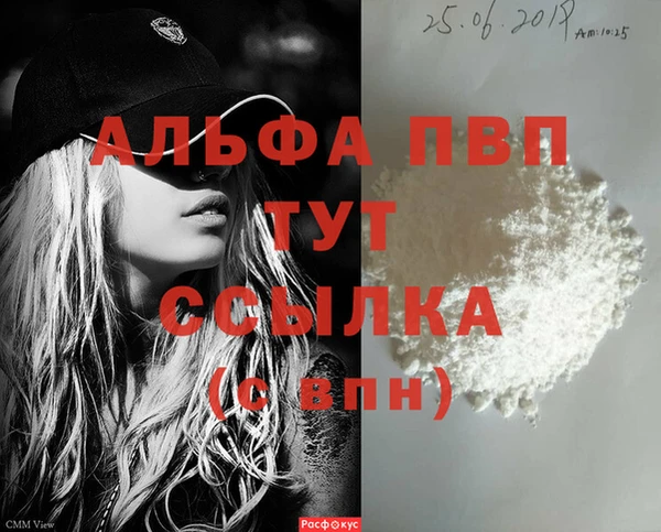 прущие грибы Алагир