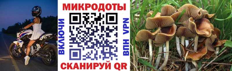 OMG сайт  купить   Ишимбай  Галлюциногенные грибы Psilocybine cubensis 