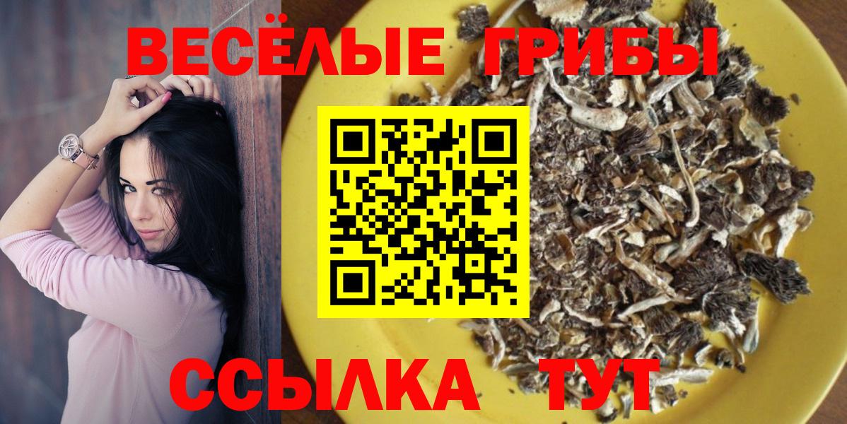 Псилоцибиновые грибы Magic Shrooms Ишимбай