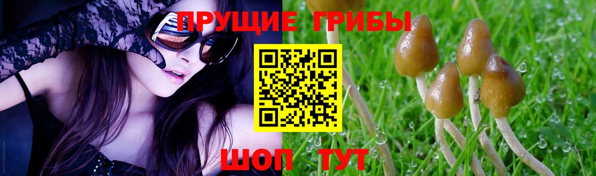 Псилоцибиновые грибы Cubensis  Вход с VPN  Ишимбай 